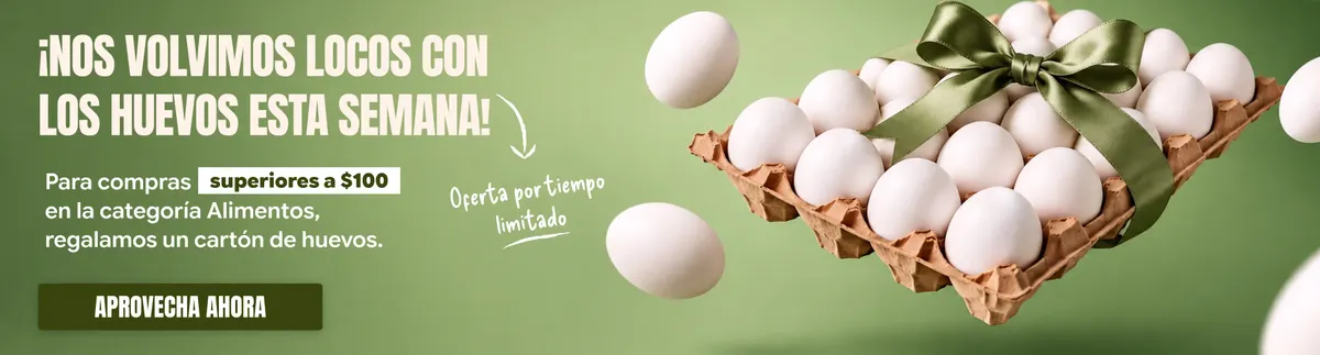 Regalo de cartón de huevos 