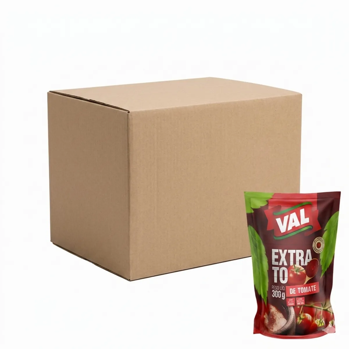 Caja de puré de tomate Concentrado (36 x 300 g) VAL