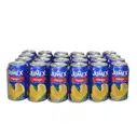 Caja de jugos sabor Mango, Jumex (24 x 335 ml)